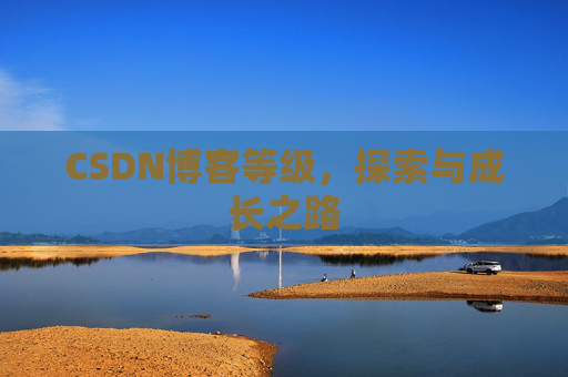CSDN博客等级，探索与成长之路